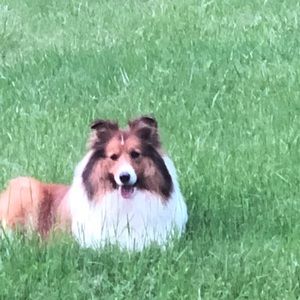 Meet your Posher, Deborah